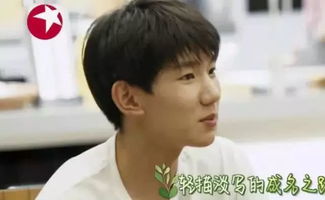 王源 对什么星座 - culstudies