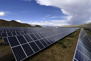 国能、中核、中能建等“急抛”光伏项目！