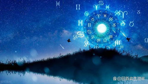 燎原组合星座是什么